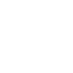 euro